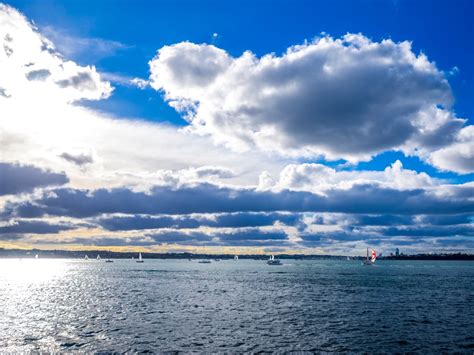 why is auckland called the city of sails|auckland .